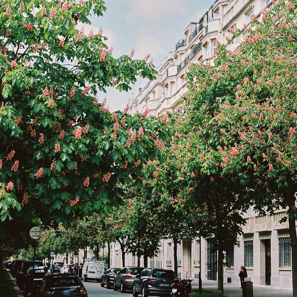 Film - Paris Spring