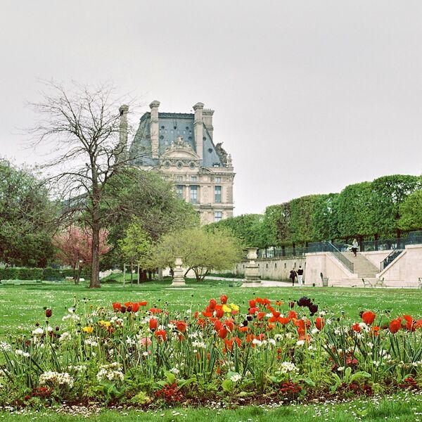 Film - Jardin des Tuileries
