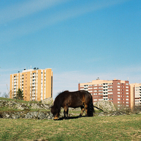 Film - Kista Pony II