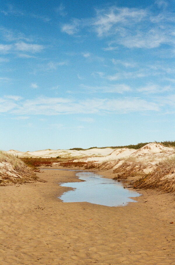 Low Tide Dunes 2