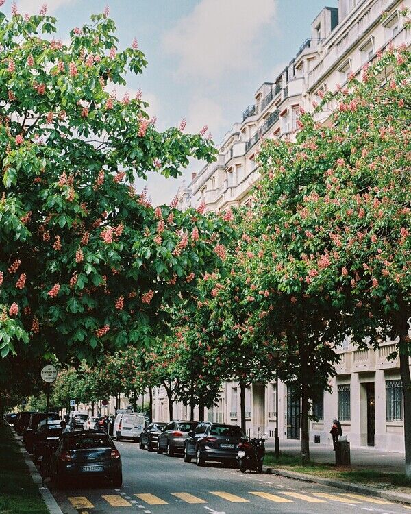 Paris Spring