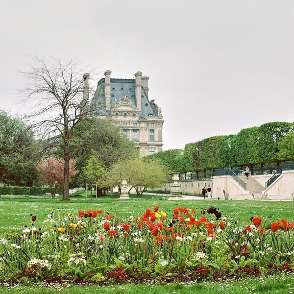 Jardin des Tuileries