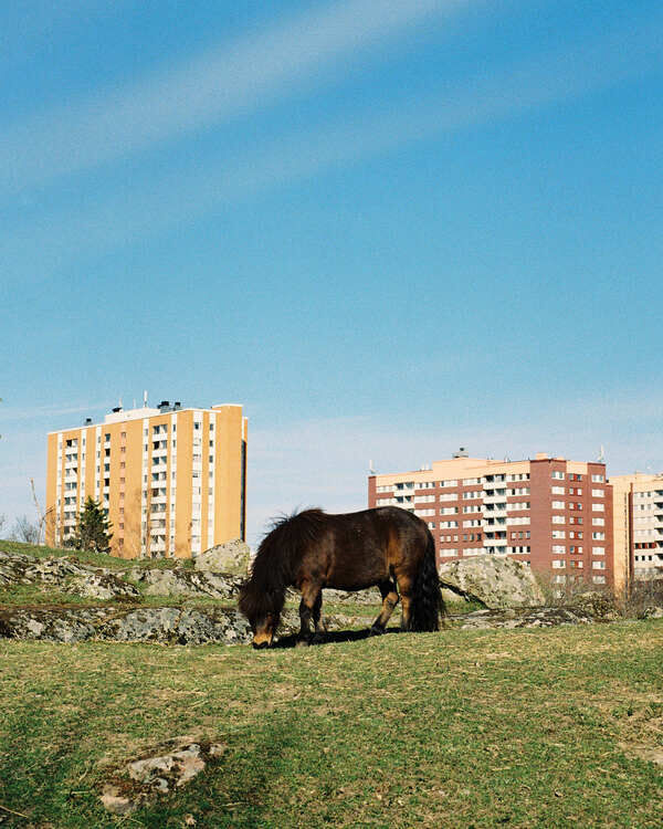 Kista Pony II